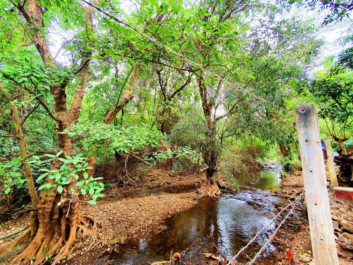 The Wilds Villa Gir Jungle Stay With Swimming Pool Sasan Gir Exterior foto